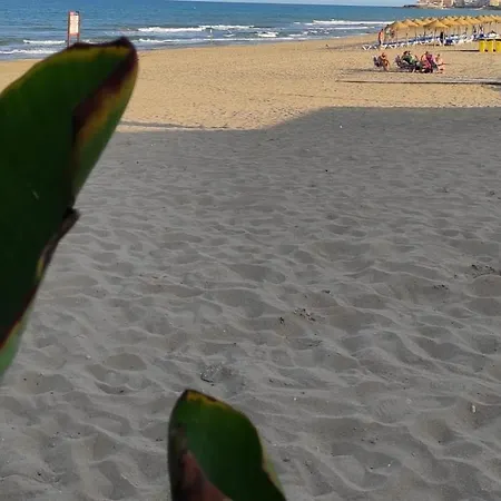 Soleado A 100 Metros De La Playa Apartman